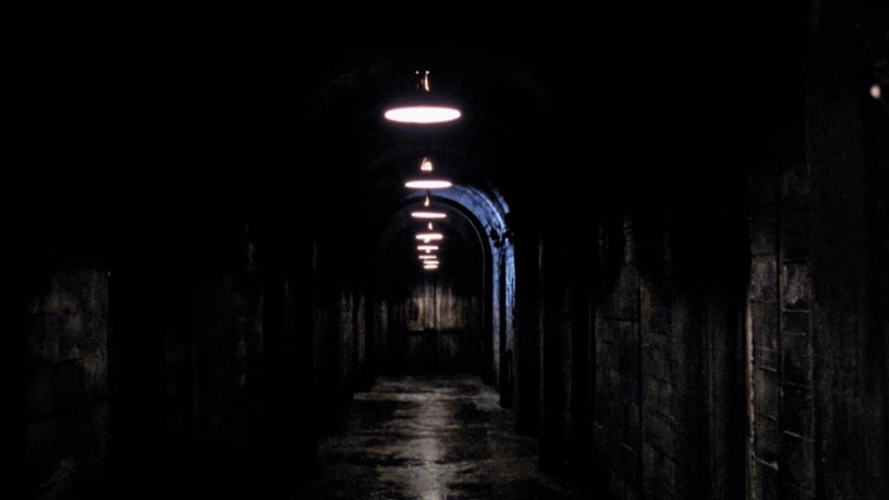 The Bunker backdrop