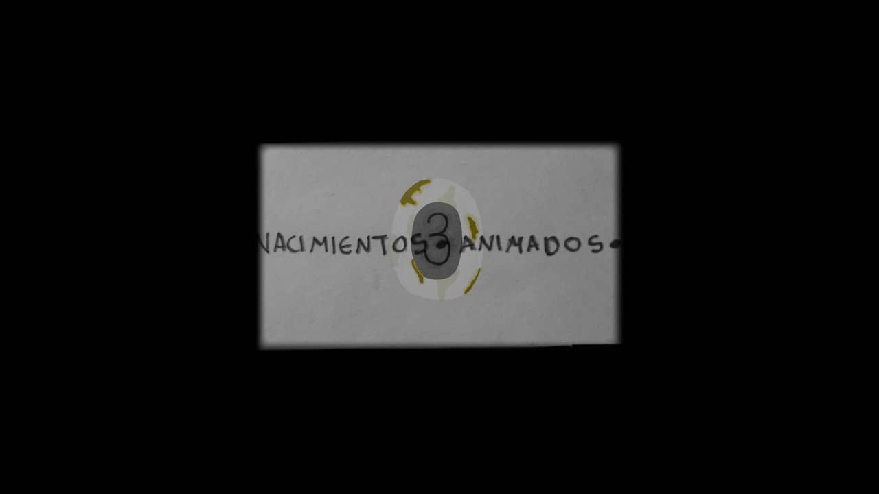 Nacimientos Animados: 3 backdrop