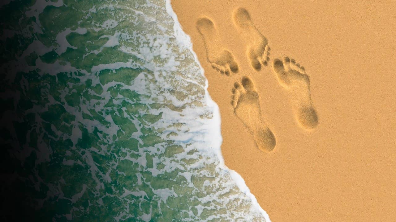 Married at First Sight:  Honeymoon Island backdrop