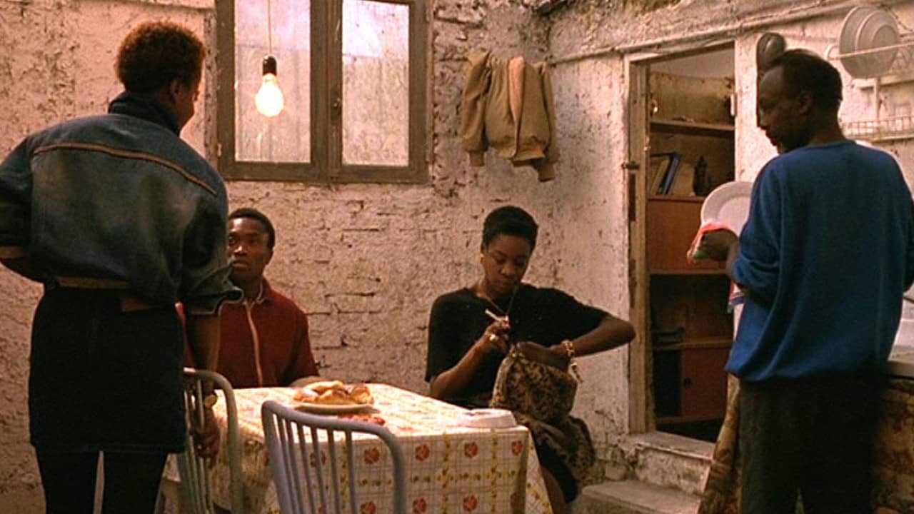 Tomato backdrop
