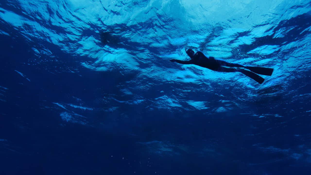 The Swim backdrop