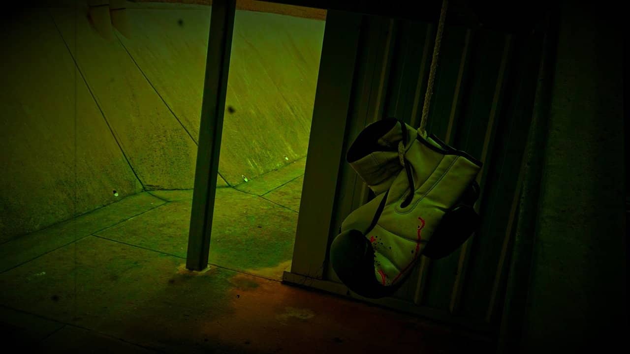 Trapped In Sight backdrop