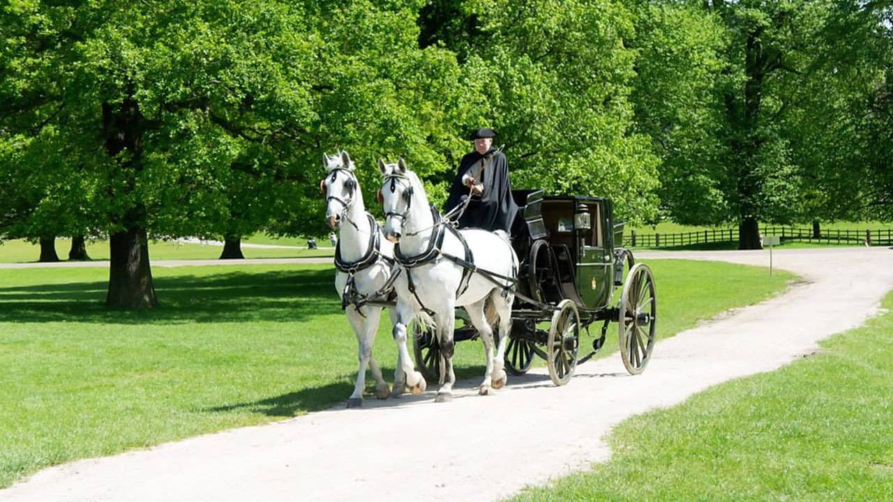 Britain's Outlaws: Highwaymen, Pirates and Rogues backdrop