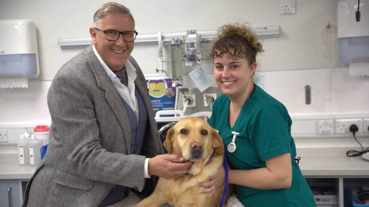 The Dog Hospital with Graeme Hall backdrop