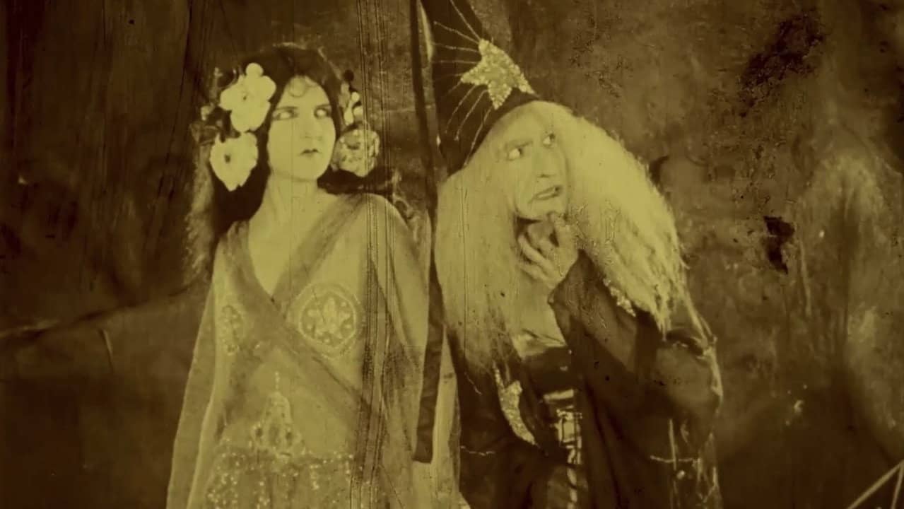 Folly of Vanity backdrop