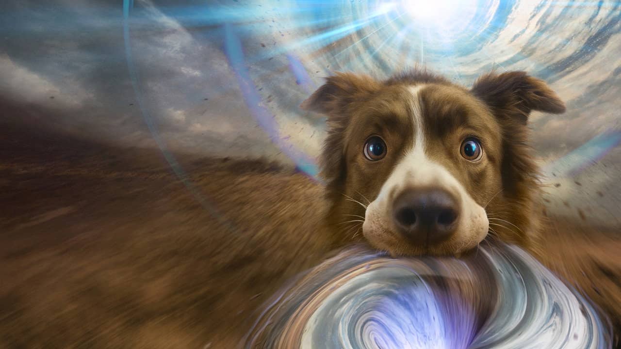 The Dog of Many Tomorrows backdrop