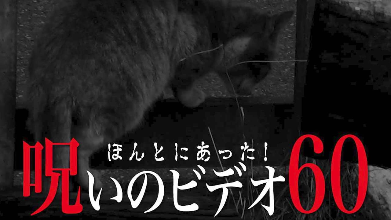 Honto ni Atta! Noroi no Video Vol. 60 backdrop