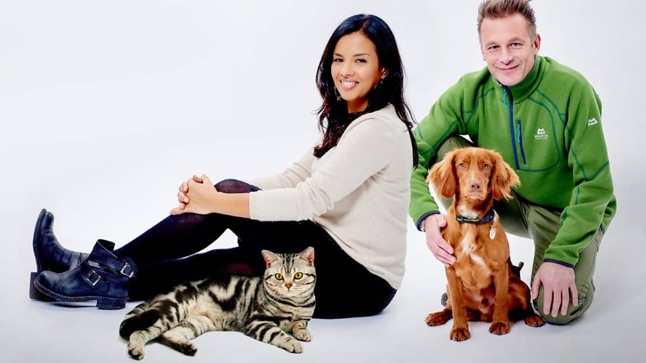 Cats v Dogs: Which is Best? backdrop