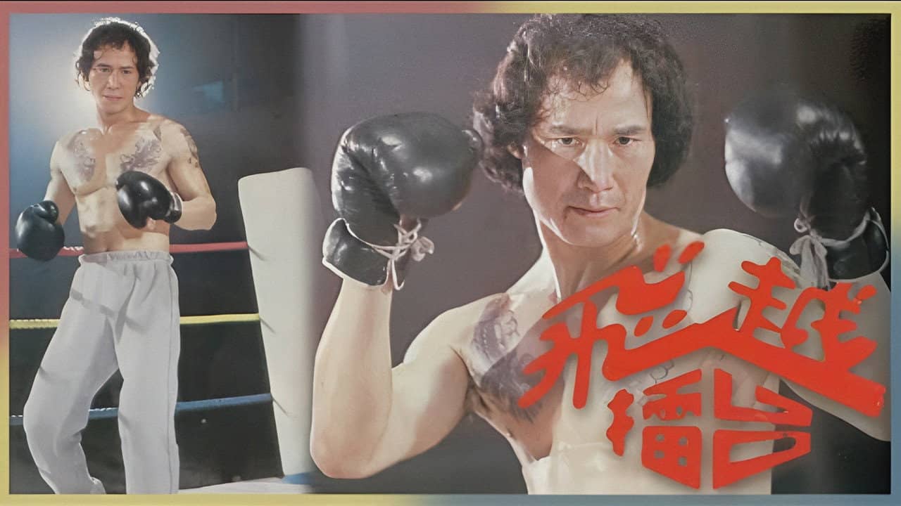The Boxer backdrop