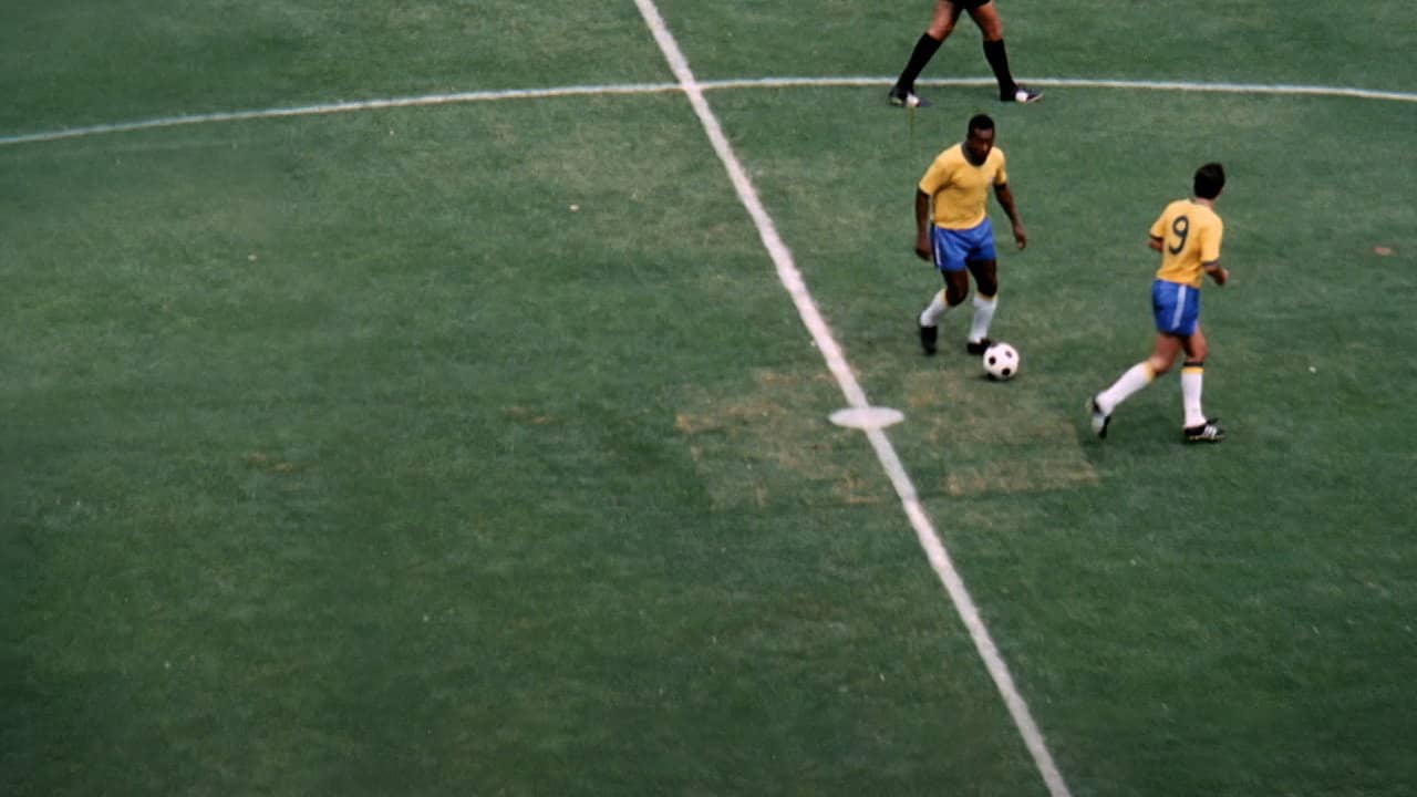 5x Brasil backdrop
