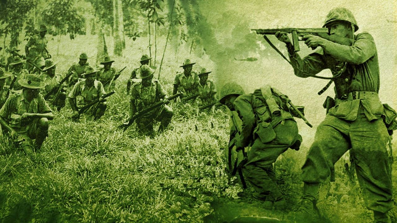 Jungle War backdrop