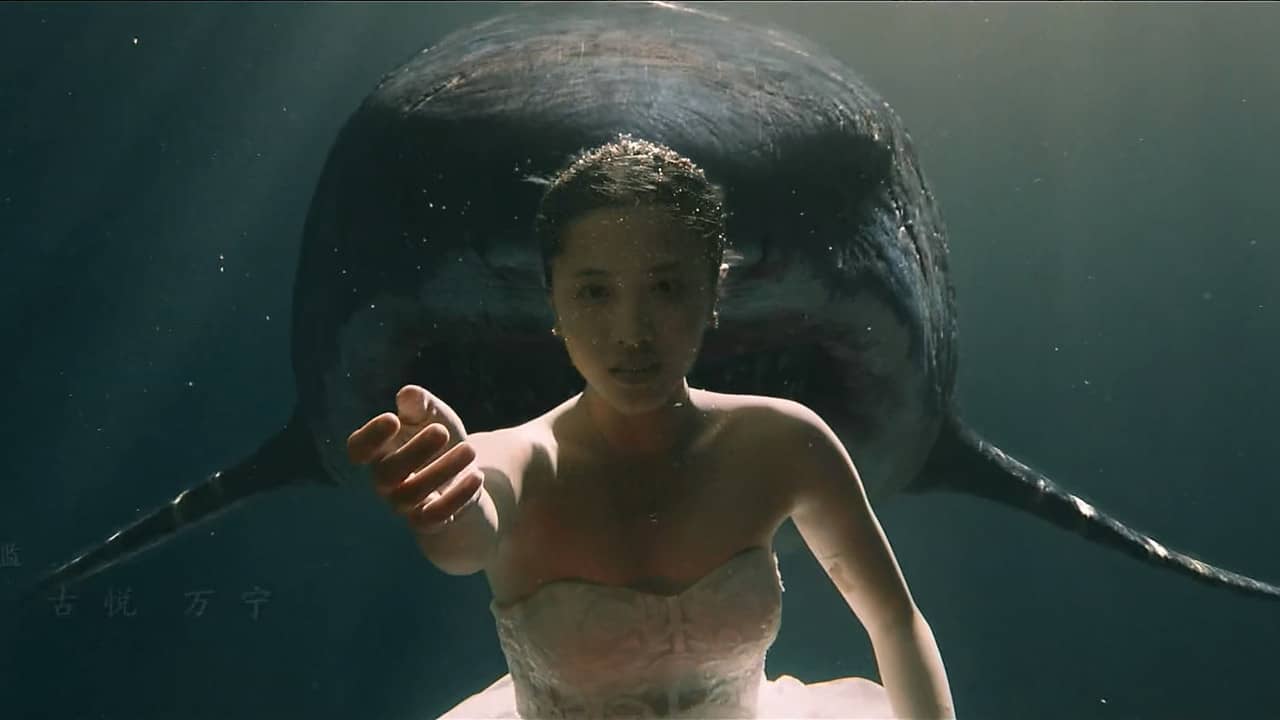 Escape of Shark backdrop