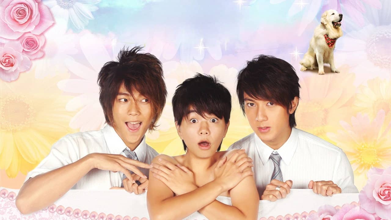 Hana Kimi backdrop