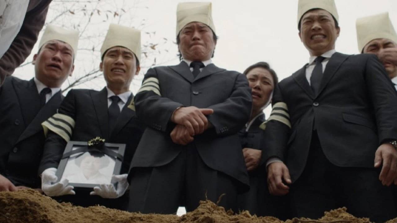 Dutiful Son backdrop