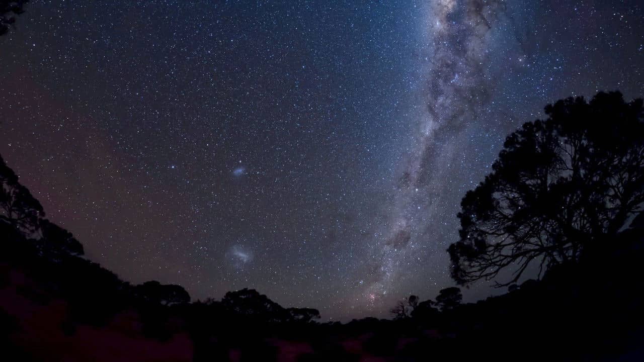 Life from Space backdrop