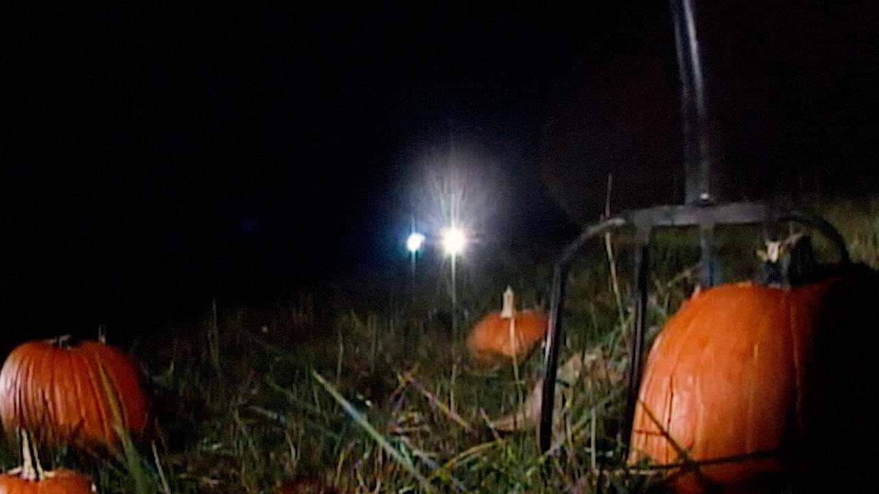 Revenge of the Great Pumpkin backdrop