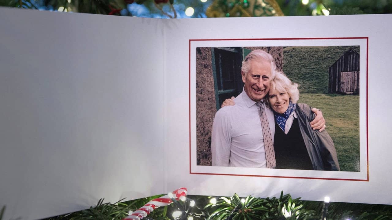 A Royal Gift: Christmas with the Royals backdrop