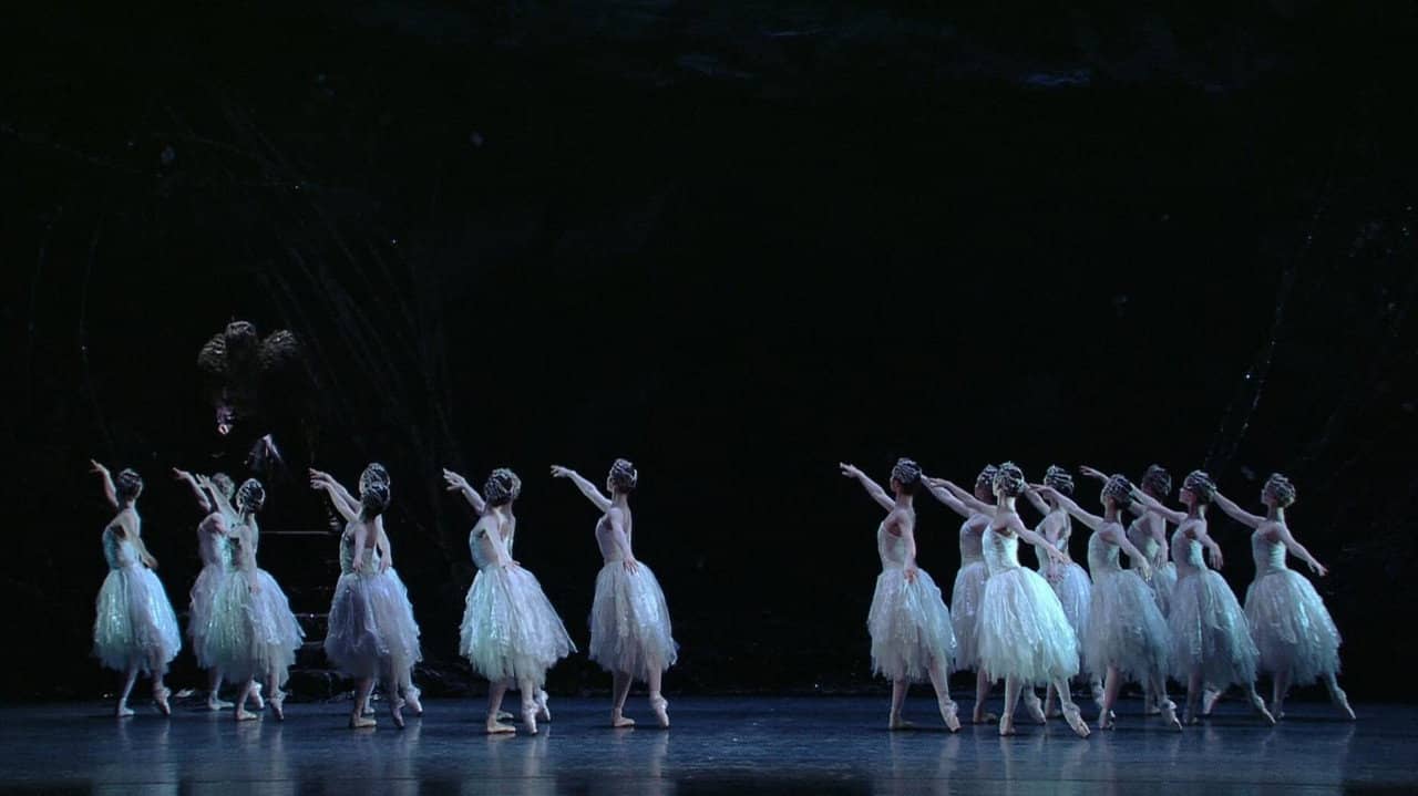 Swan Lake backdrop