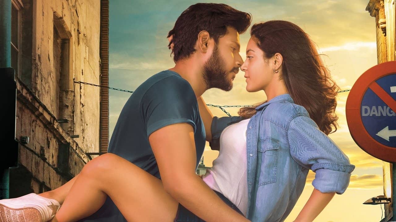 Ninu Veedani Needanu Nene backdrop
