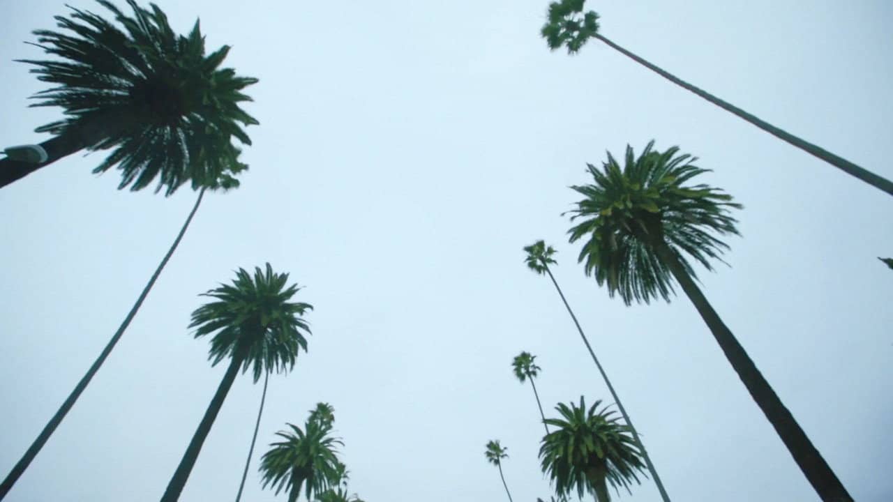 Sleepover LA backdrop