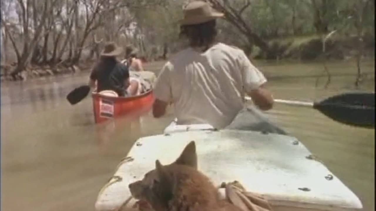 The Macquarie Marshes backdrop