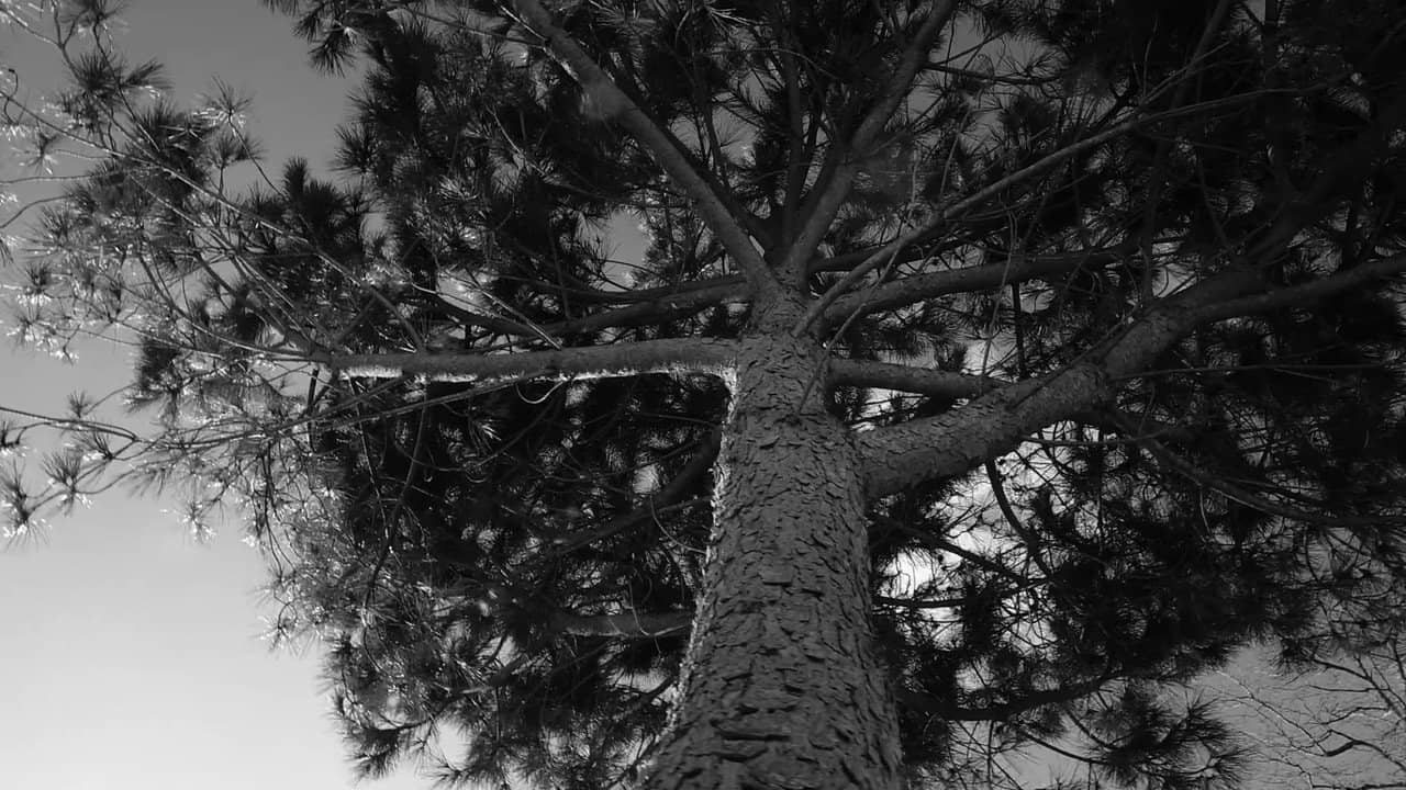 A film about nothing backdrop