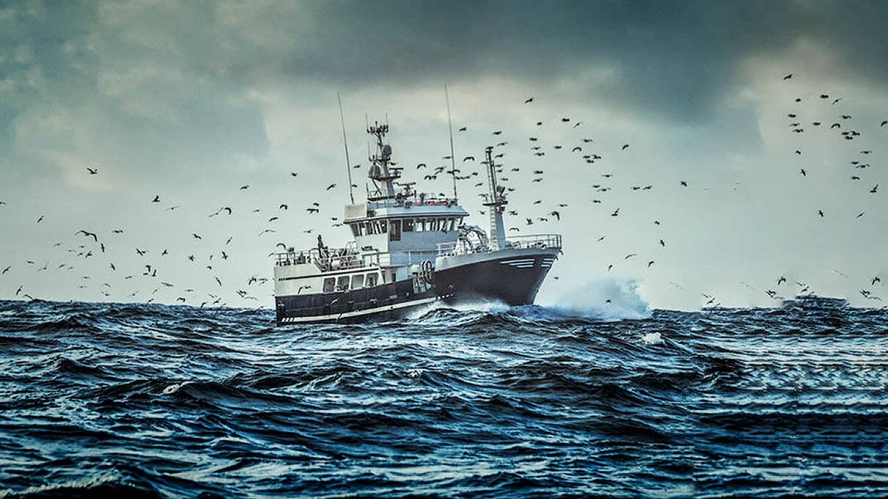 East Harbour Heroes backdrop