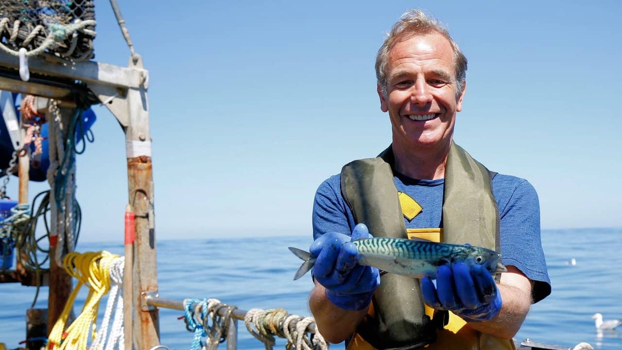 Robson Green: Coastal Fishing backdrop