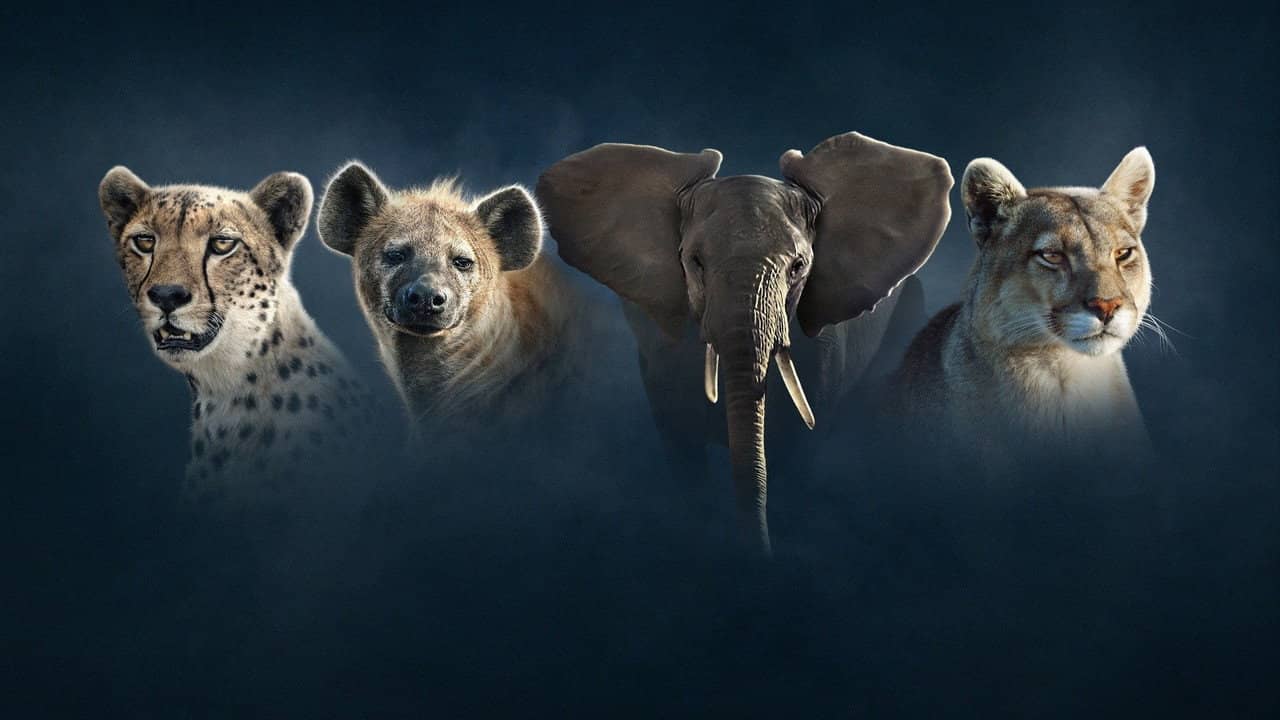 Dynasties II backdrop