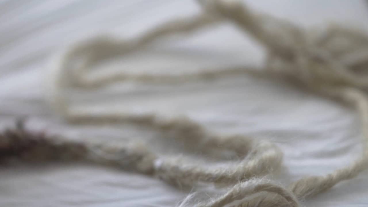 Tendrils backdrop