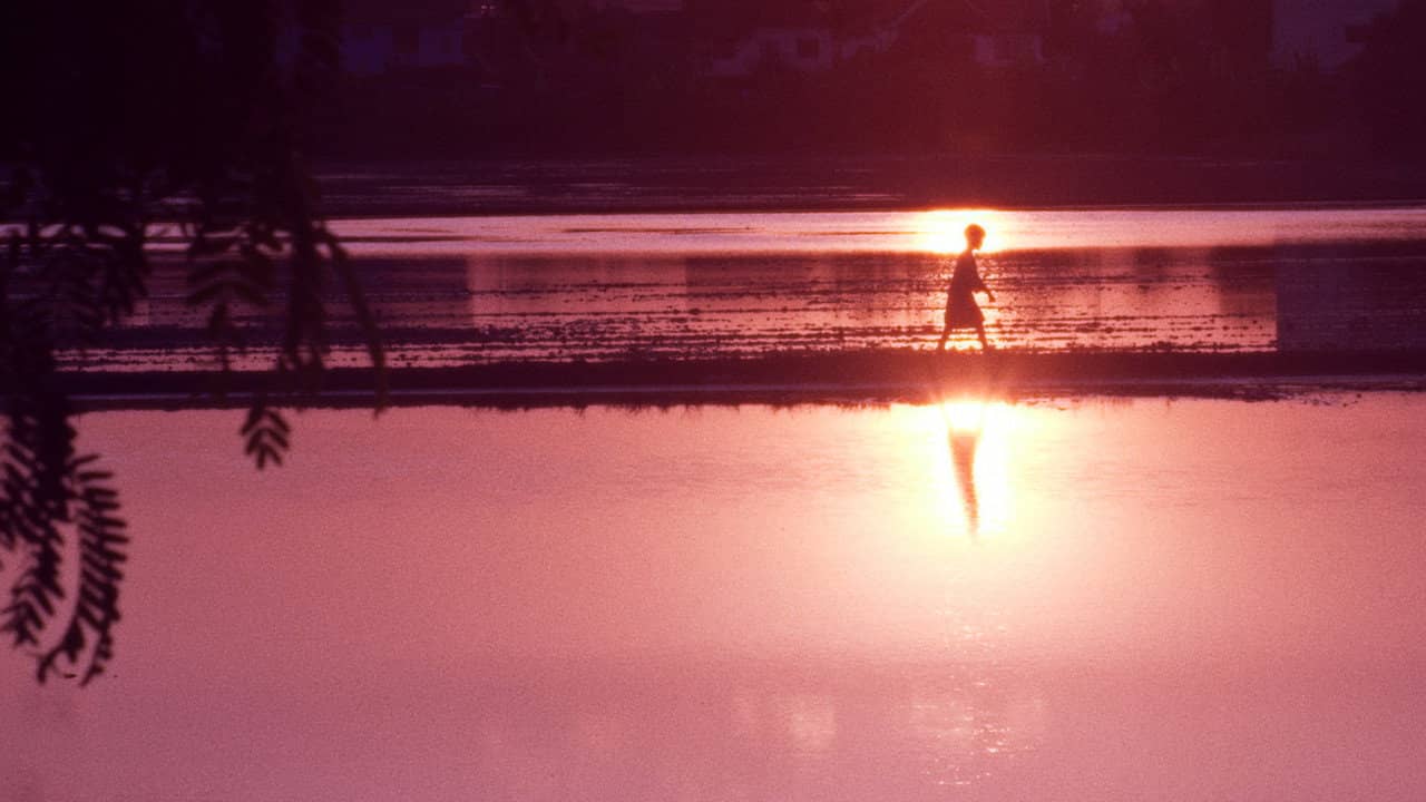 A Man and the Child backdrop