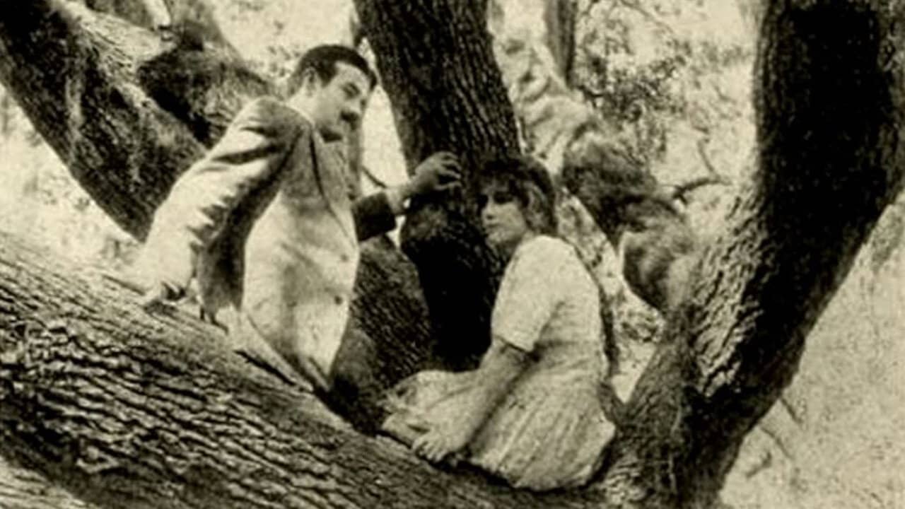 The Girl of the Grove backdrop
