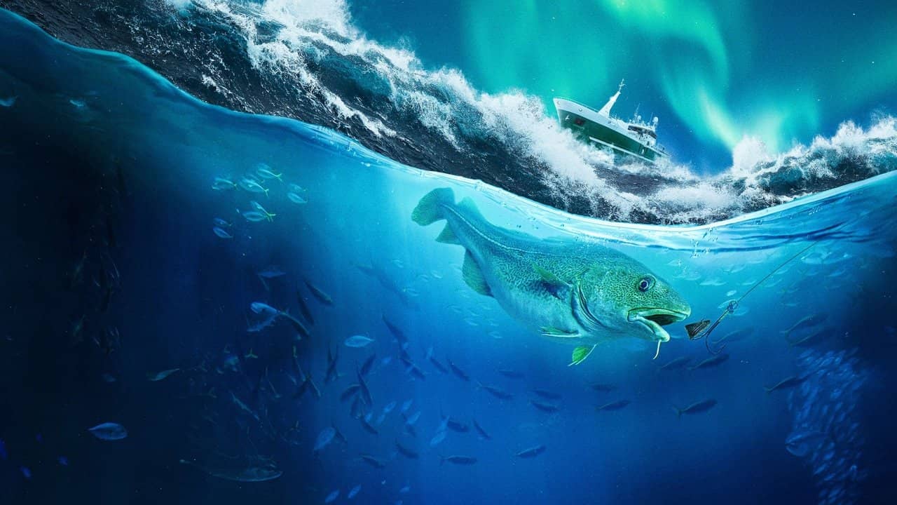 Ice Cold Catch backdrop
