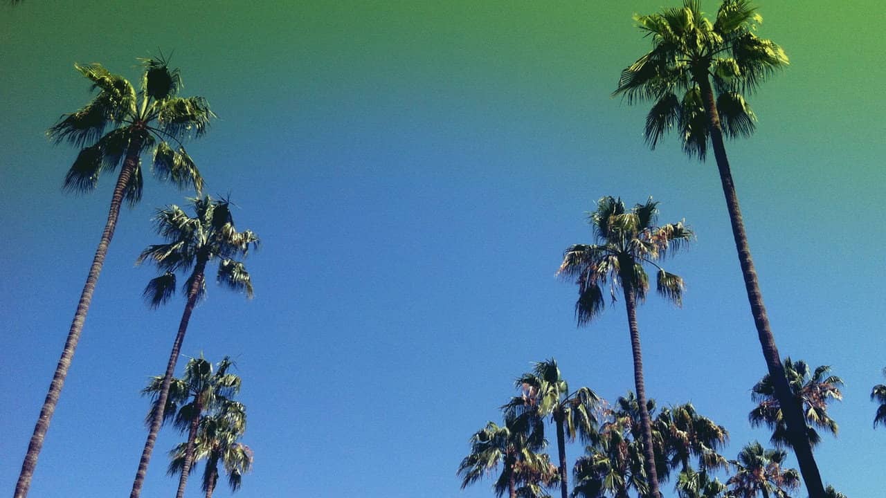 Lost in LA backdrop
