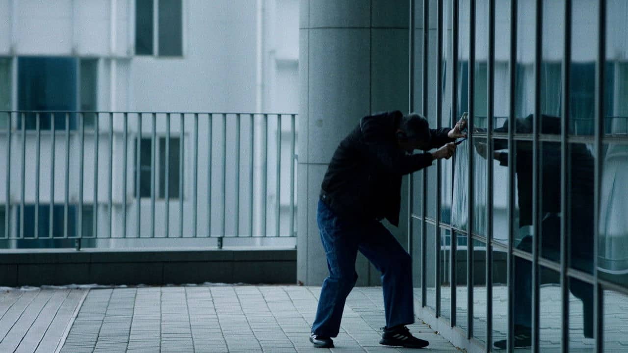 The Wayward Bird backdrop