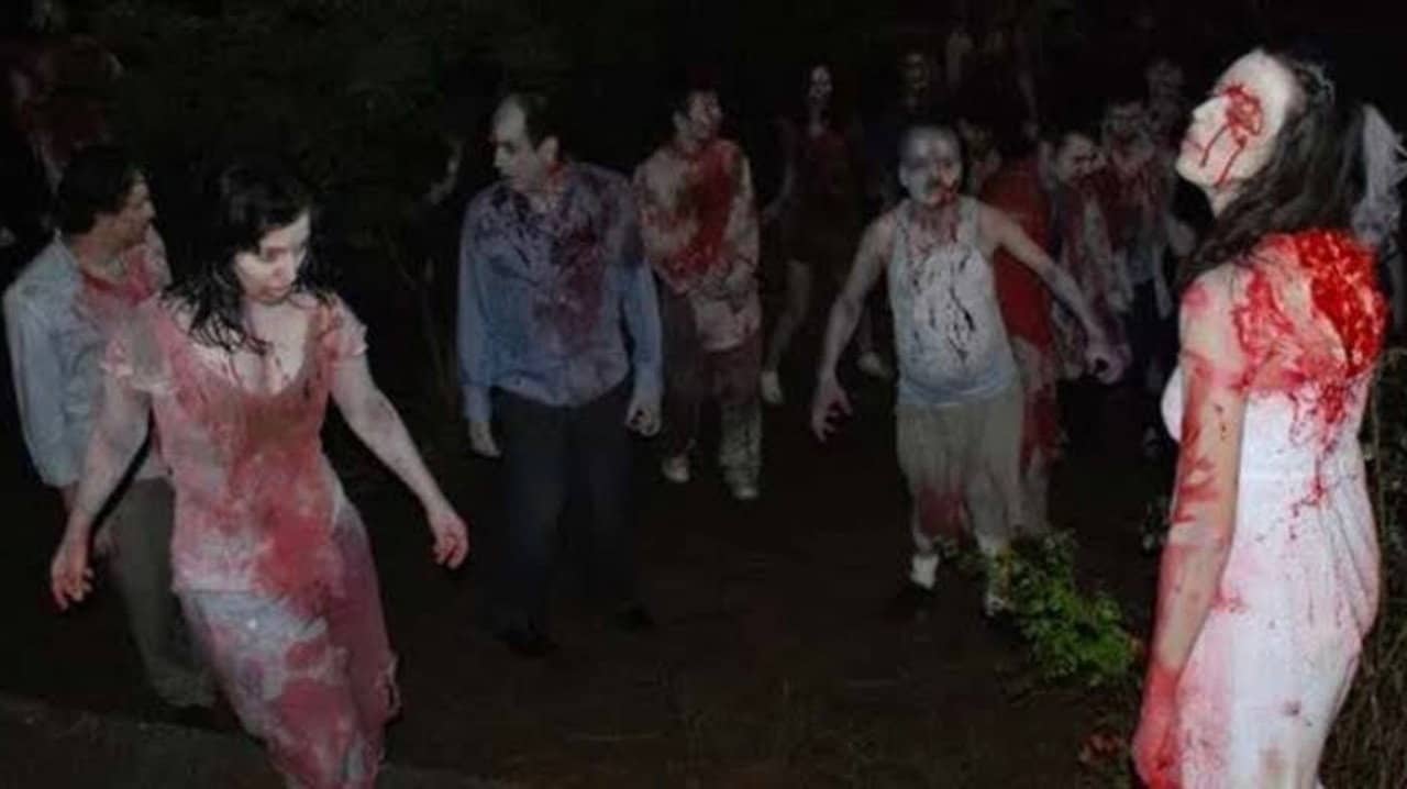 Island: Wedding of the Zombies backdrop