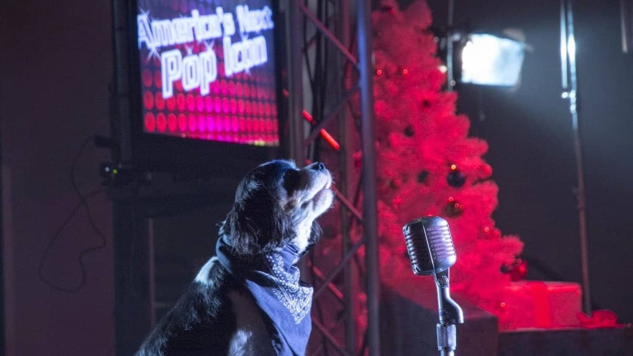 Pop Star Puppy backdrop