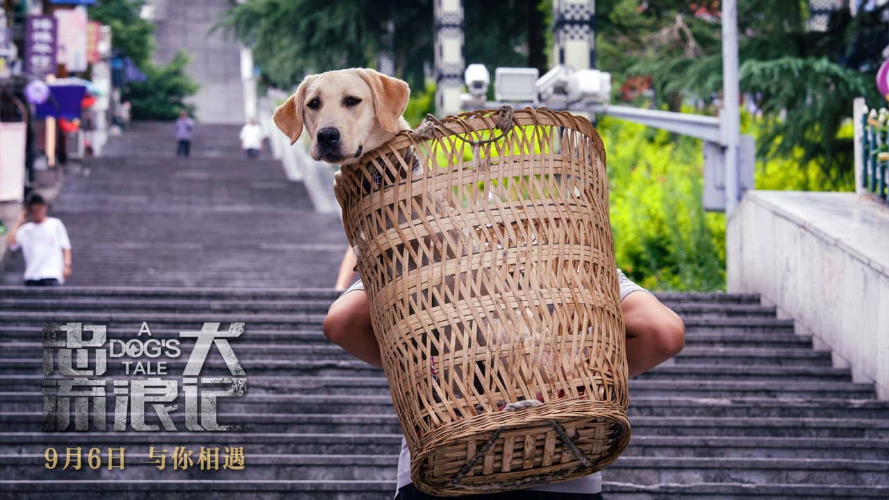 A Dog's Tale backdrop