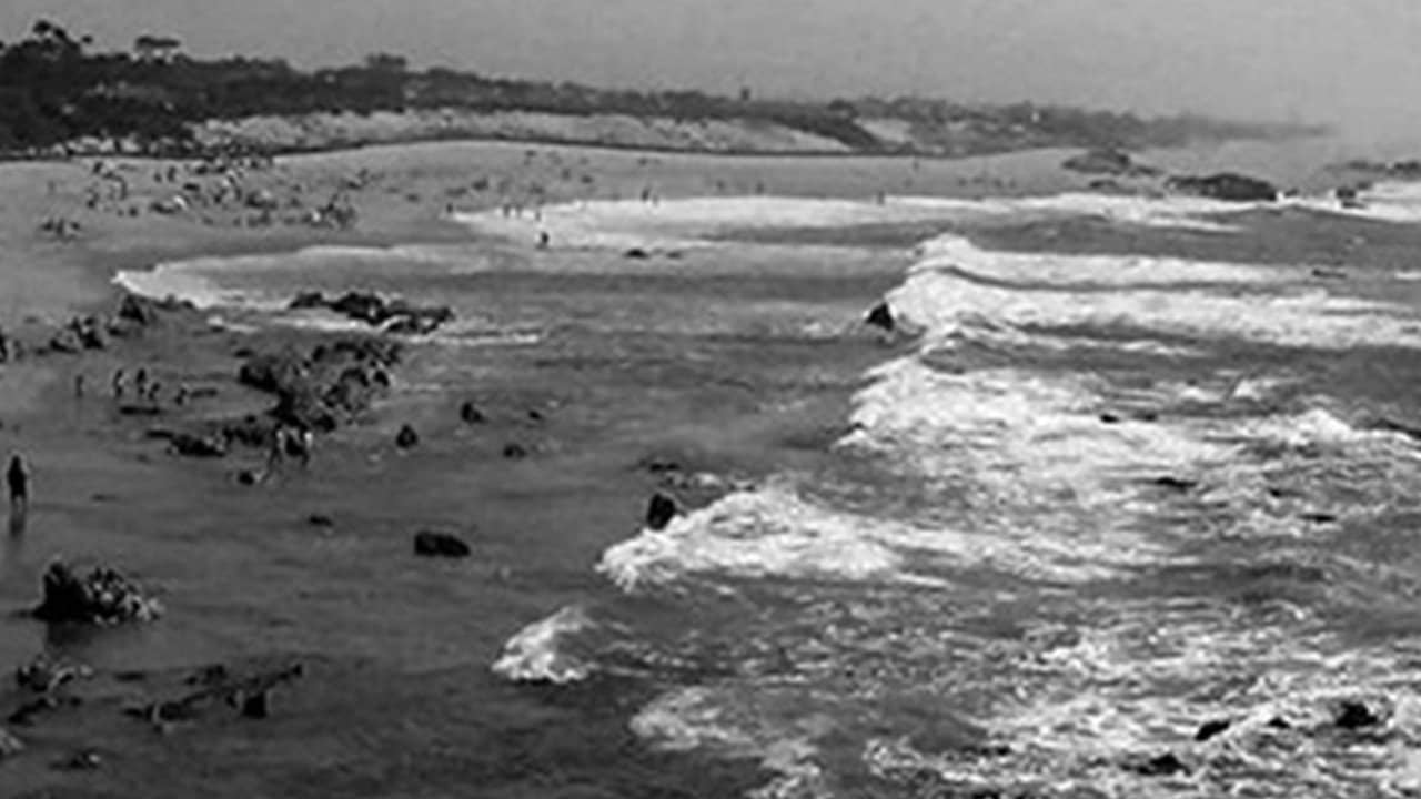Miramar, Praia das Rosas backdrop