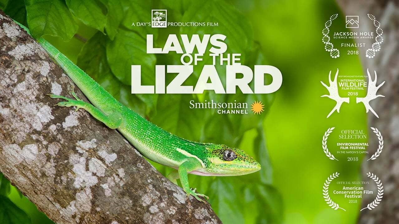 Laws of the Lizard backdrop