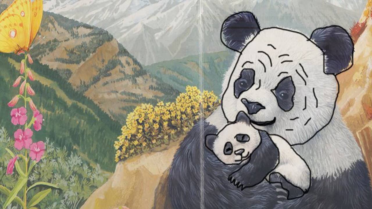 Eu Sou um Pequeno Panda backdrop