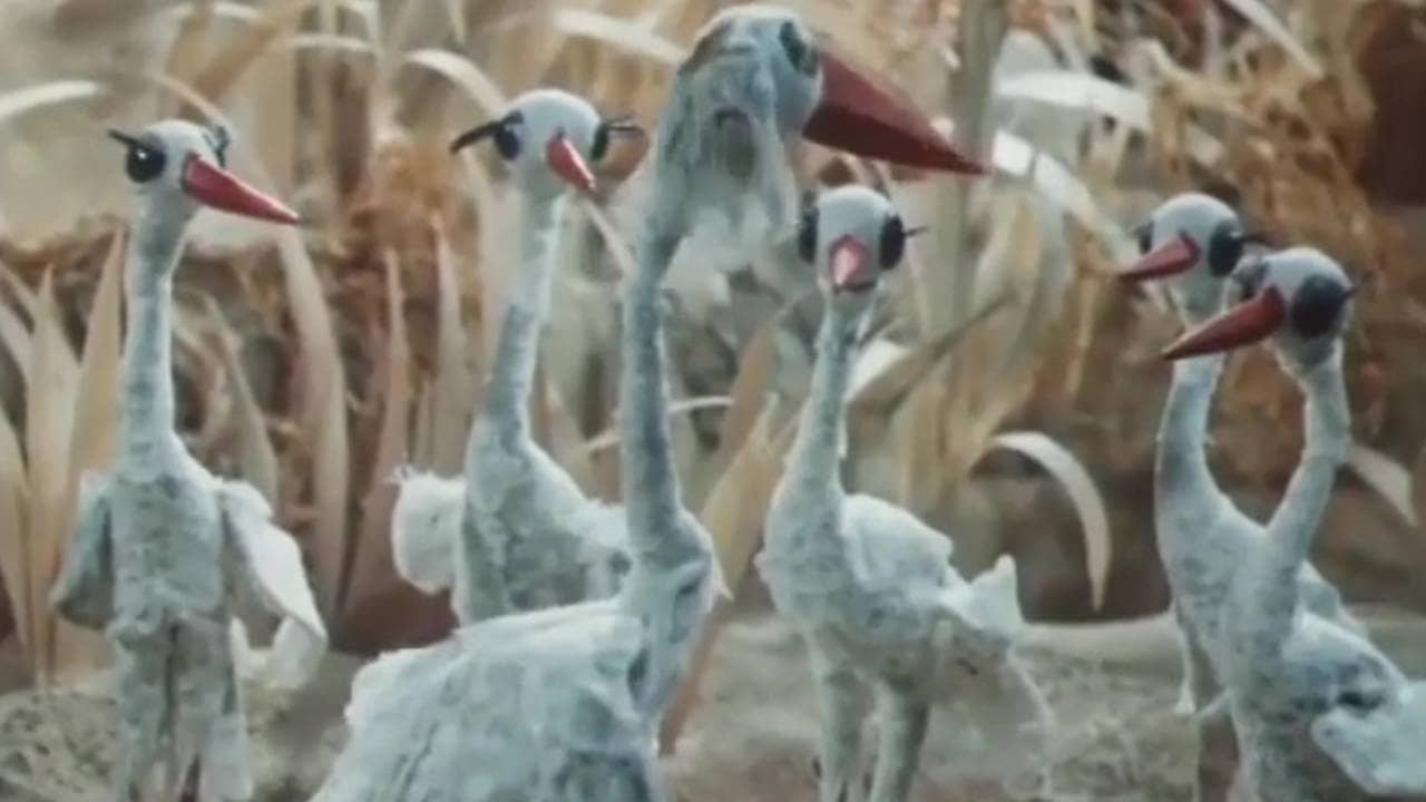 When Do the Storks Arrive backdrop