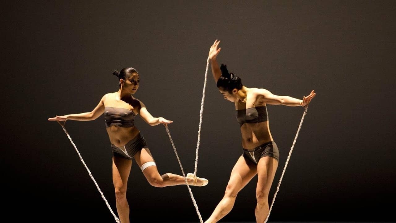 bODY rEMIX/ gOLDBERG vARIATIONS backdrop