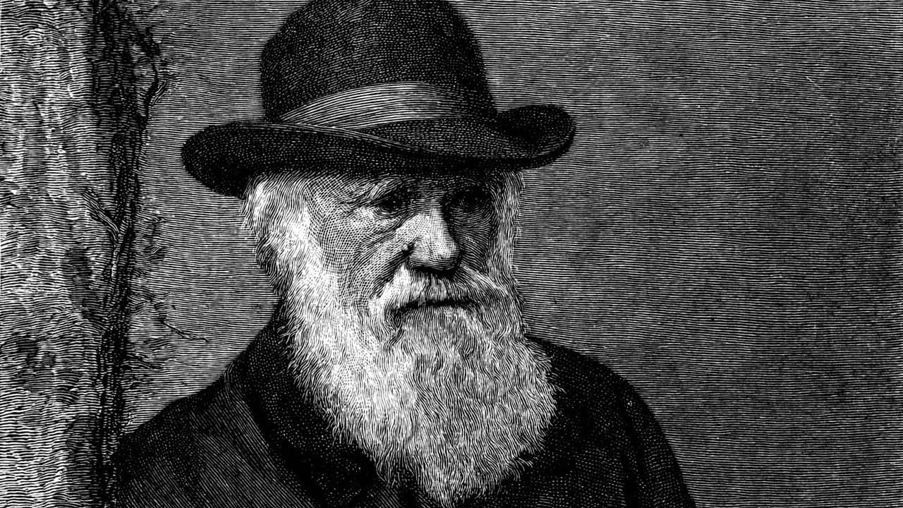 The Genius of Charles Darwin backdrop