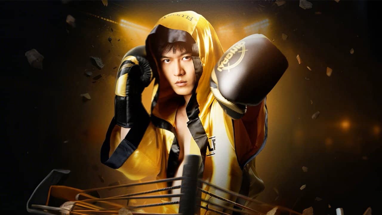 Fight backdrop