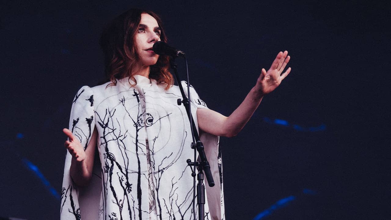 PJ Harvey - Rock en Seine 2024 backdrop