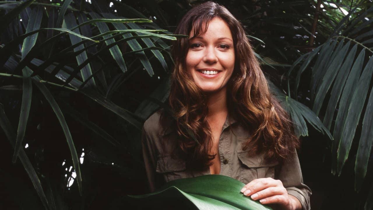 Jungle backdrop