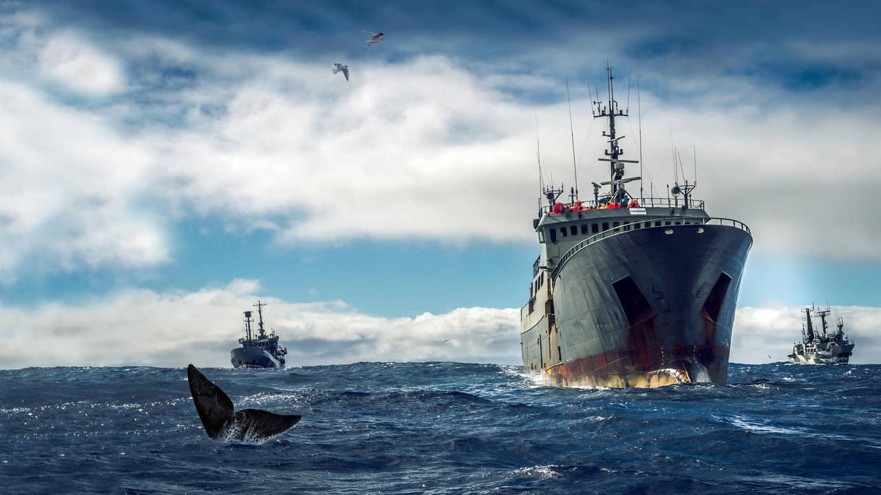 Ocean Warriors backdrop