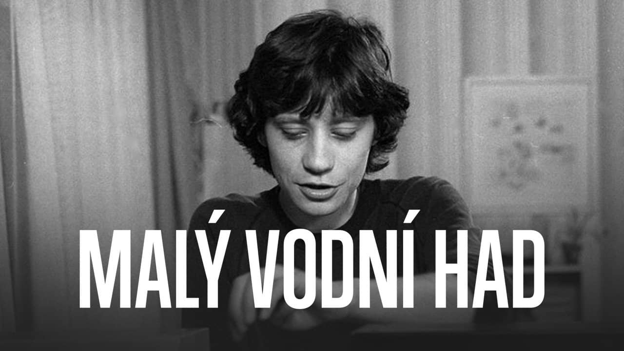 Malý vodní had backdrop