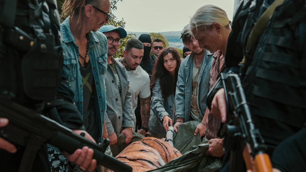 Day of the Tiger backdrop
